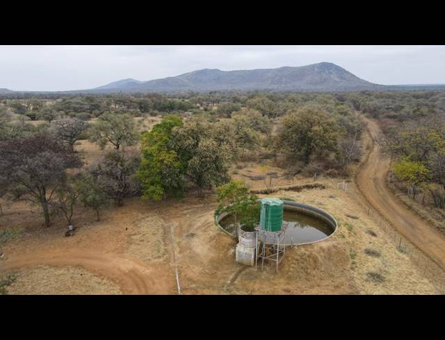 FARM FOR SALE IN THABAZIMBI RURAL